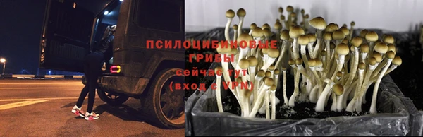 MDMA Алзамай