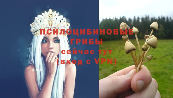 стаф Алексеевка