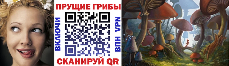 Псилоцибиновые грибы мицелий  цены наркотик  Ливны 