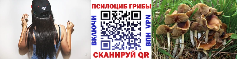Галлюциногенные грибы Psilocybine cubensis Ливны